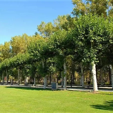 Lejlighed Simplistic In With Garden *